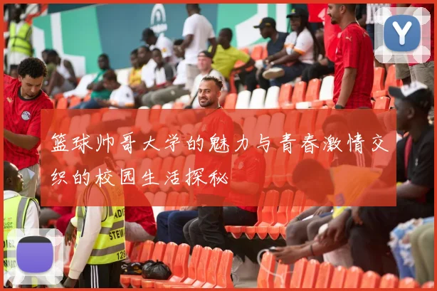 篮球帅哥大学的魅力与青春激情交织的校园生活探秘
