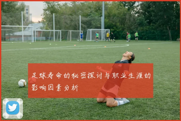 足球寿命的秘密探讨与职业生涯的影响因素分析