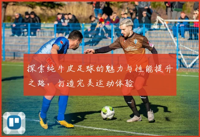探索纯牛皮足球的魅力与性能提升之路，打造完美运动体验