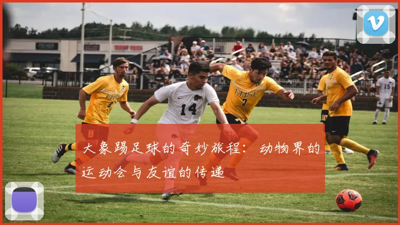 大象踢足球的奇妙旅程：动物界的运动会与友谊的传递